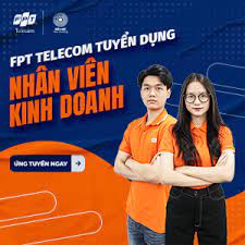 lĩnh vực hoạt động